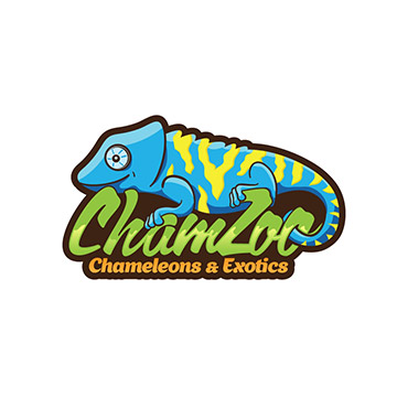 logo design chameleon exotic animals pet store