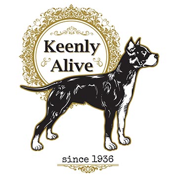 keenly alive stafford illustration tshirt design